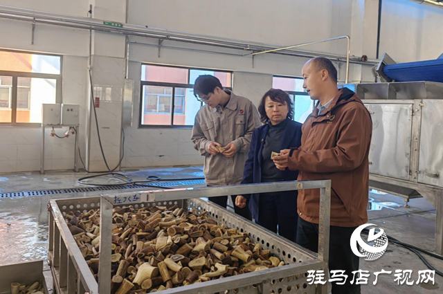 龜鹿藥業(yè)：深學(xué)篤行 以黨的二十屆四中全會精神引領(lǐng)發(fā)展新征程