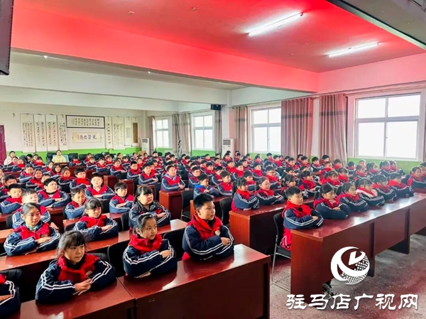 共青團(tuán)平輿縣委組織開展黨的二十屆四中全會(huì)精神宣講活動(dòng)