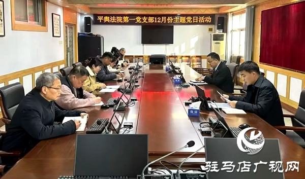 平輿縣人民法院開(kāi)展“深化理論學(xué)習(xí)，凝聚奮進(jìn)力量”主題黨日活動(dòng)