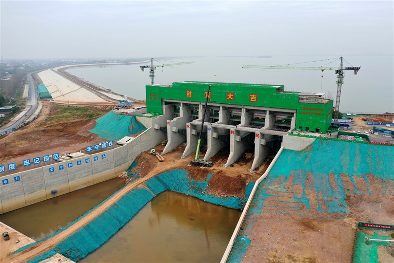 晚播小麥冬日“成長(zhǎng)錄”