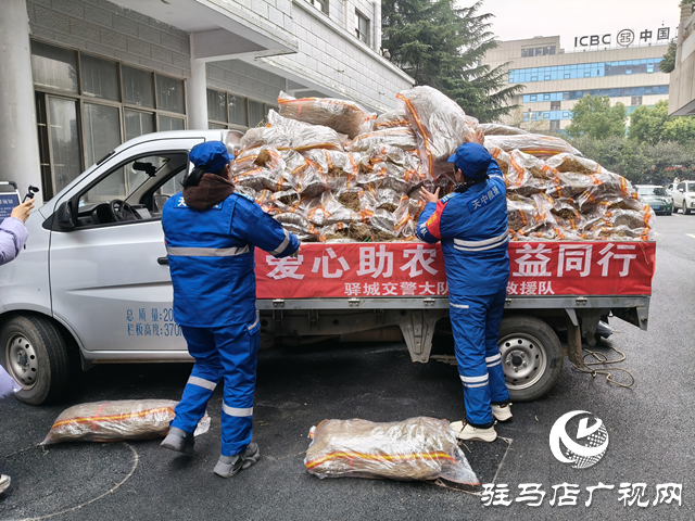 千畝紅薯滯銷農(nóng)戶愁 救援隊(duì)“帶貨”傳溫情