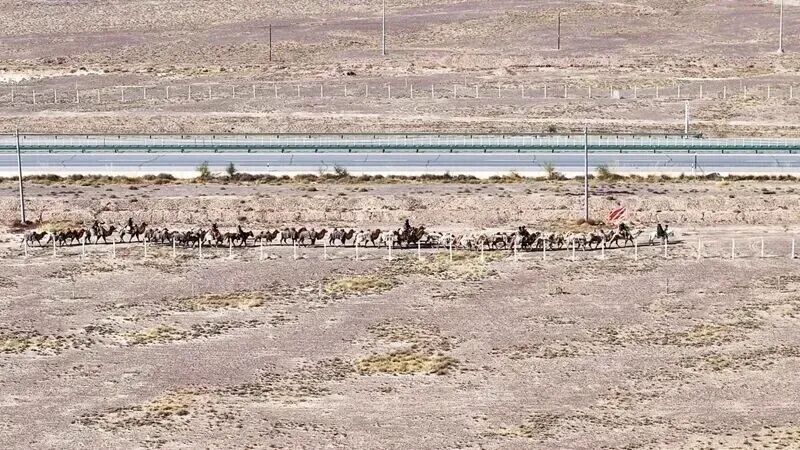 絲綢之路的味道，河南人都知道！