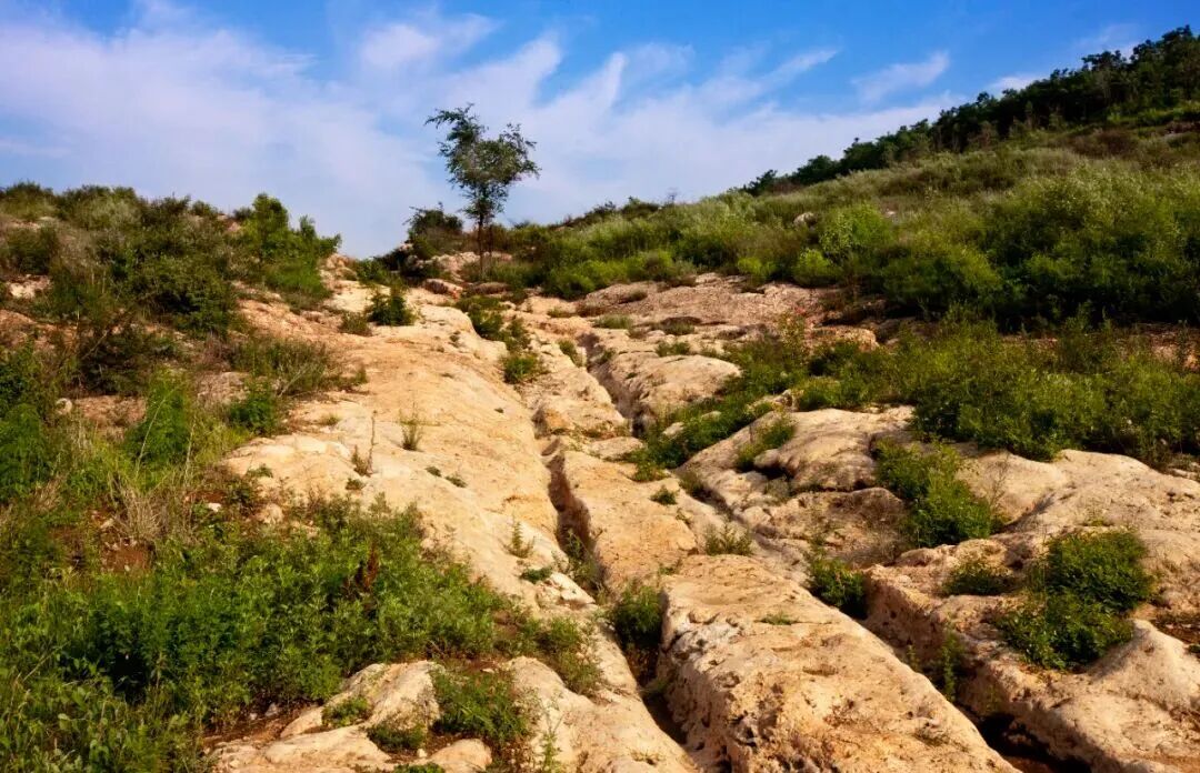 絲綢之路的味道，河南人都知道！