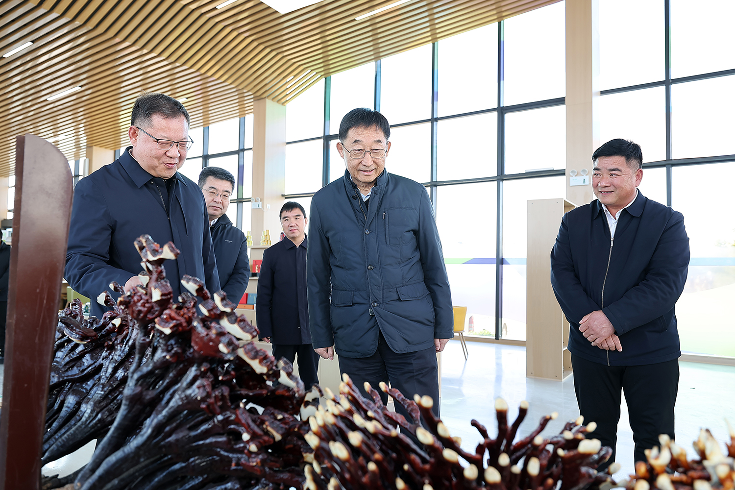 劉寧到三門峽義馬和洛陽洛寧欒川嵩縣調(diào)研推動工作時(shí)強(qiáng)調(diào)：提高生態(tài)環(huán)境治理能力水平 讓群眾獲得更多普惠性民生福祉