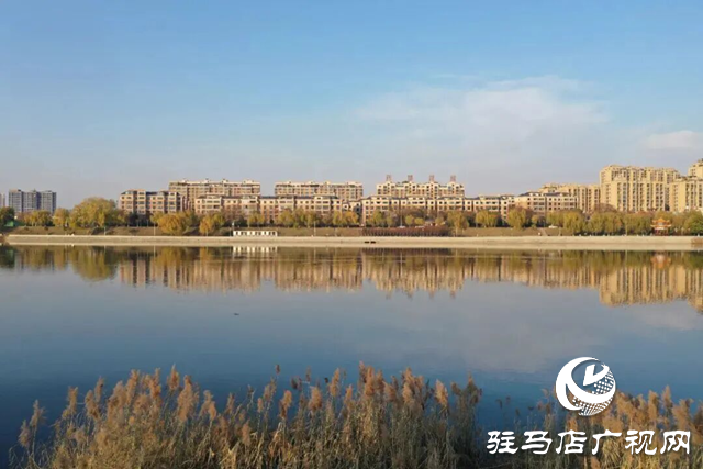 【大美天中】泌陽縣南河公園：殘荷蘆葦繪就靜謐畫卷