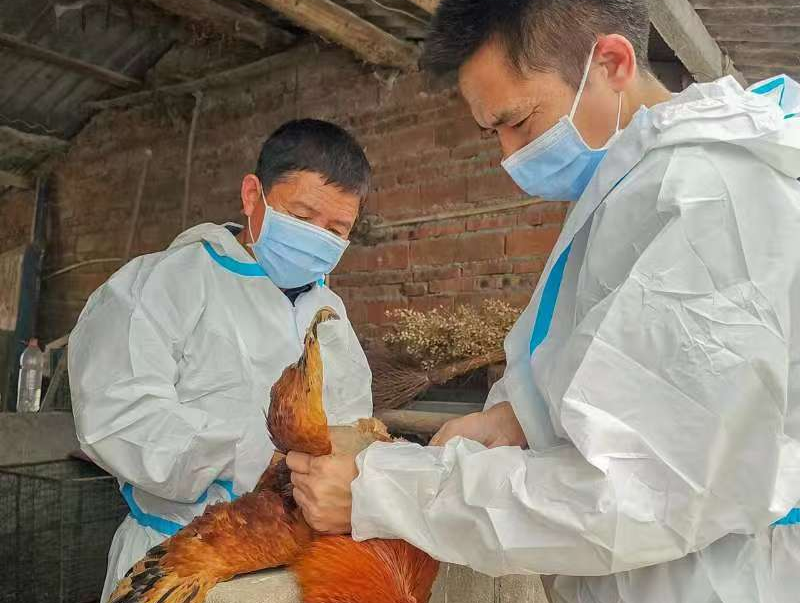 駐馬店市動物疫病防疫檢疫中心發(fā)布2026年元月份動物疫病預(yù)警預(yù)報