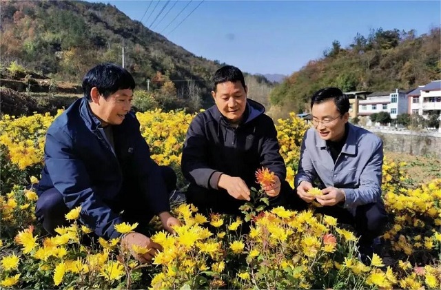 回眸2025丨將自身發(fā)展融入國家發(fā)展大局，中國人壽交出“三有”年度答卷