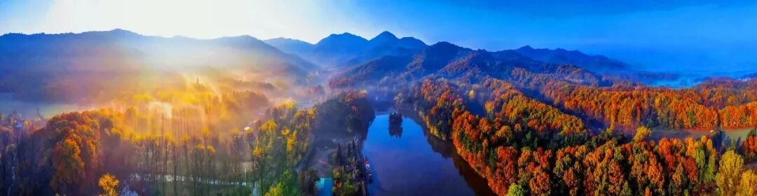 金頂山13天免票暢玩，山水詩意邀您入畫！