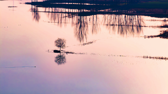 縣區(qū)動態(tài)|湖鏡映霞彩 落日醉余暉