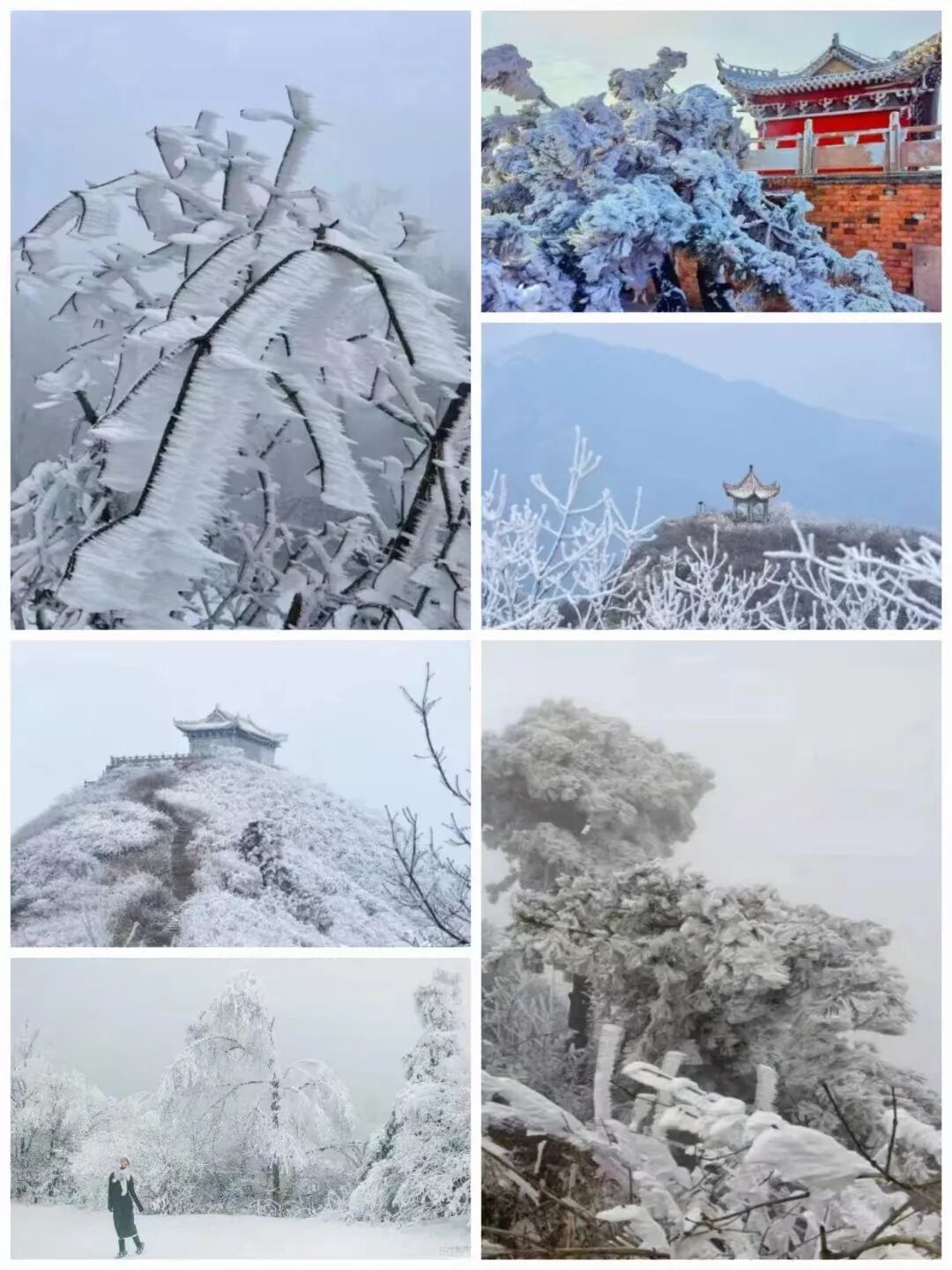 雪落無(wú)聲，詩(shī)意滿天中