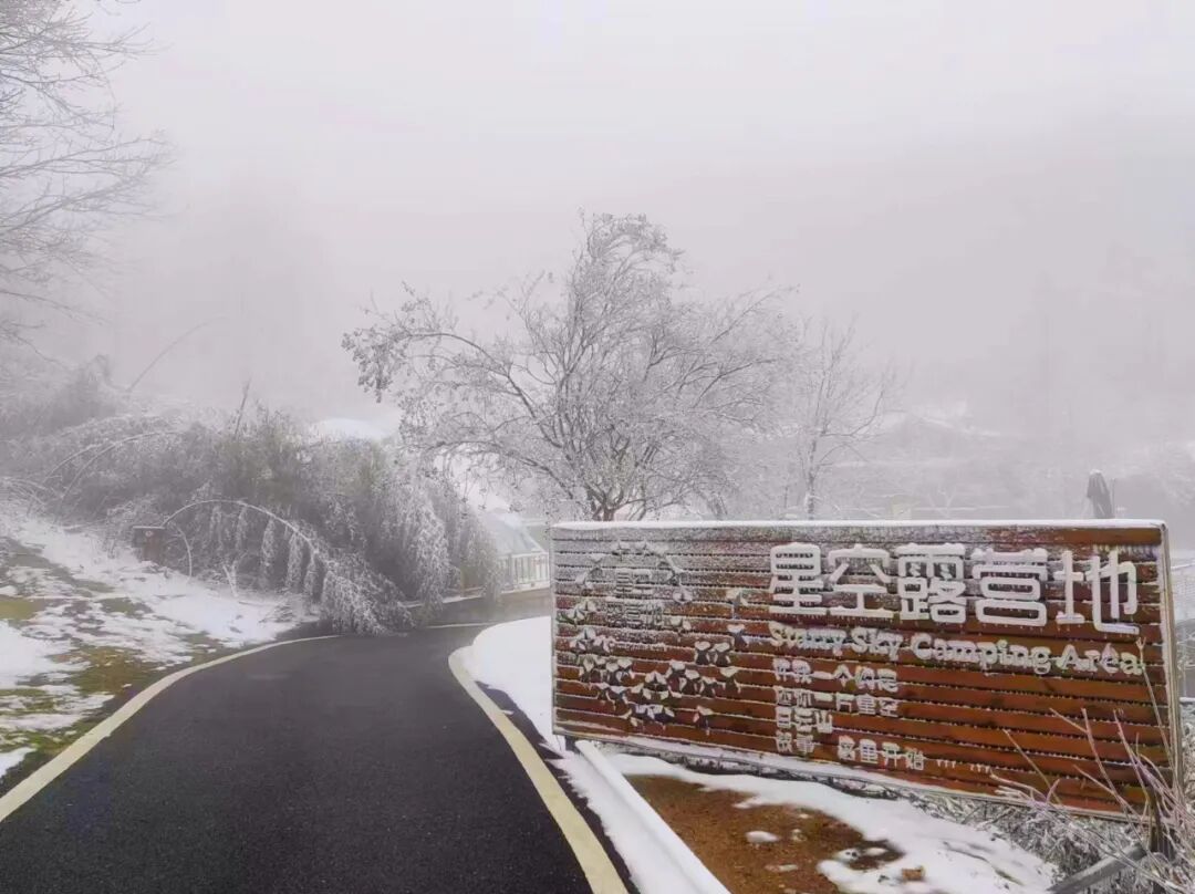 雪落無(wú)聲，詩(shī)意滿天中