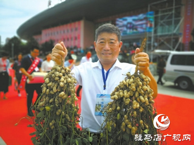 正陽(yáng)縣代興種業(yè)：深學(xué)全會(huì)精神 讓良種真正成為增收“硬支撐”?