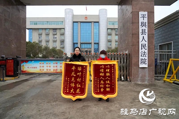 平輿縣人民法院：她頂風冒雨，送來錦旗！