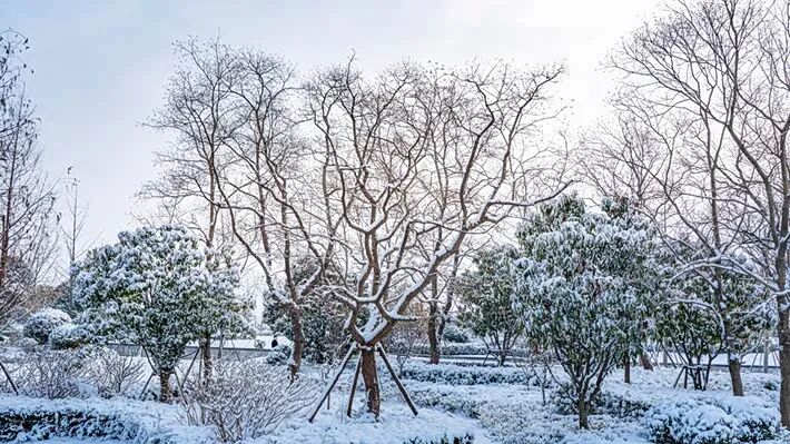 雪落玉湖 如詩如畫