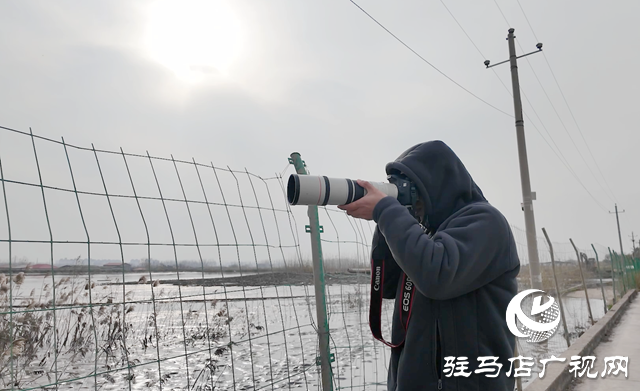 陳東洋：七年守護(hù)濕地 為十萬候鳥護(hù)航