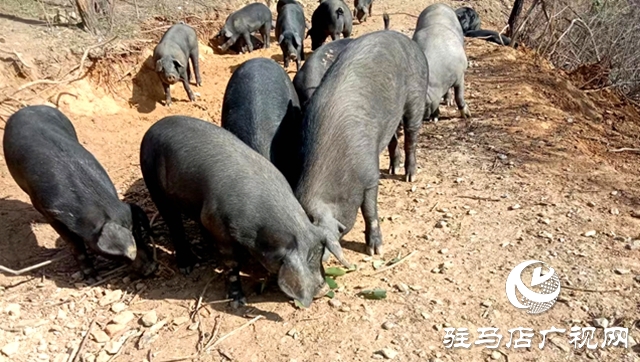 冬日送暖，愛(ài)滿(mǎn)天中：愛(ài)心企業(yè)物資發(fā)放，回饋社會(huì)暖人心