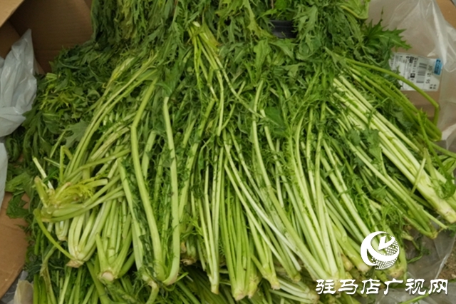 正陽(yáng)縣:電商賦能“土特產(chǎn)” 連接鄉(xiāng)村“振興路”