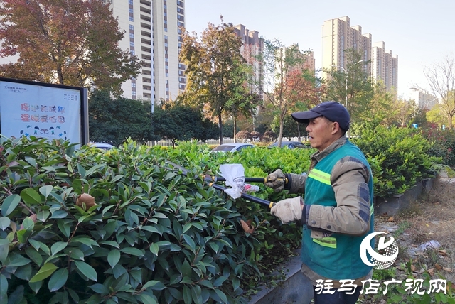 駐馬店:冬季管養(yǎng)正當(dāng)時(shí) 綠化養(yǎng)護(hù)忙不停 ???????