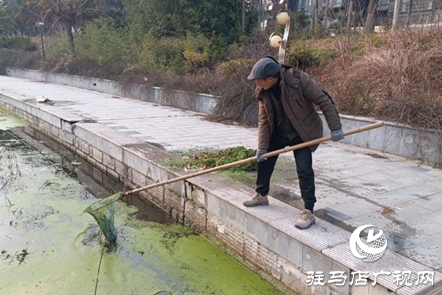 駐馬店市園林綠化中心:清理開源河水草 守護河道生態(tài)環(huán)境