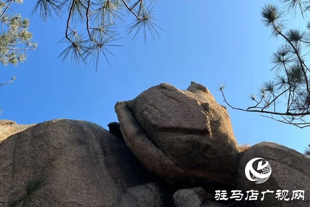 【大美天中】光影喚醒奇石 鏡頭定格鄉(xiāng)愁