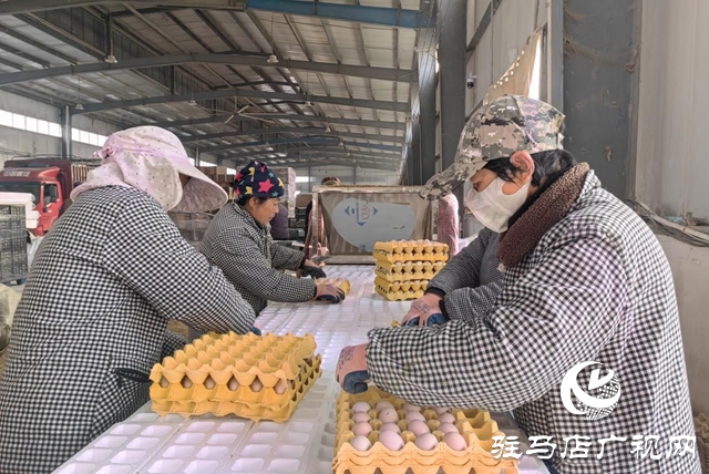 駐馬店市驛城區(qū):合作社里就業(yè)忙 鄉(xiāng)村振興畫卷新