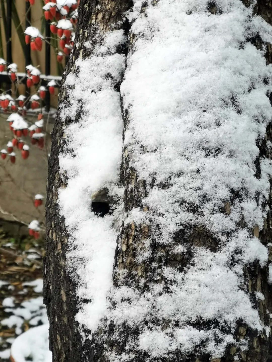 嘉源畫館——小城星火 如何照亮國(guó)展之路