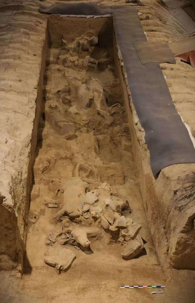 秦兵馬俑考古新發(fā)現(xiàn):二號坑發(fā)掘出土兩乘戰(zhàn)車