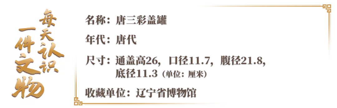 文博日歷丨陶罐也講究“穿搭” 來自大唐的陶藝美學(xué)