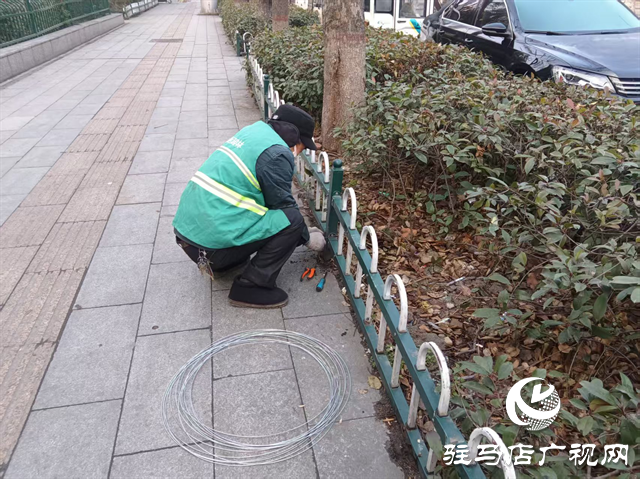  開(kāi)發(fā)區(qū)城市管理事務(wù)中心：以“護(hù)”為責(zé) 開(kāi)展綠化護(hù)欄維修行動(dòng)
