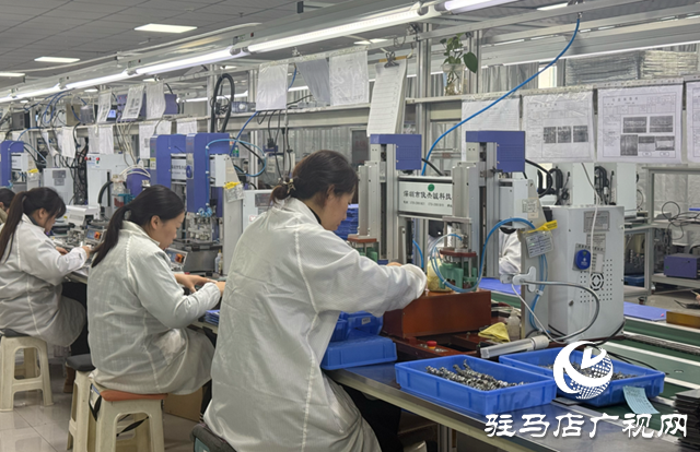 遂平微興電子:起步即加速 滿負(fù)荷生產(chǎn)奪“開門紅”