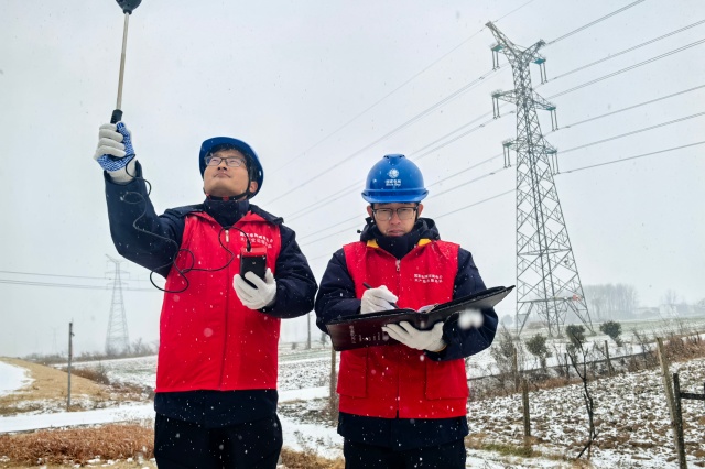 國(guó)網(wǎng)駐馬店供電公司：全力抗擊雨雪冰凍保供電