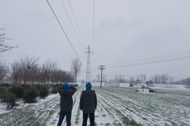 國網新蔡縣供電公司:聞雪而動護主網風雪特巡保民生