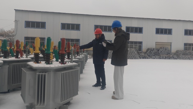 國(guó)網(wǎng)上蔡縣供電公司：頂風(fēng)冒雪戰(zhàn)寒潮 凝心聚力保供電