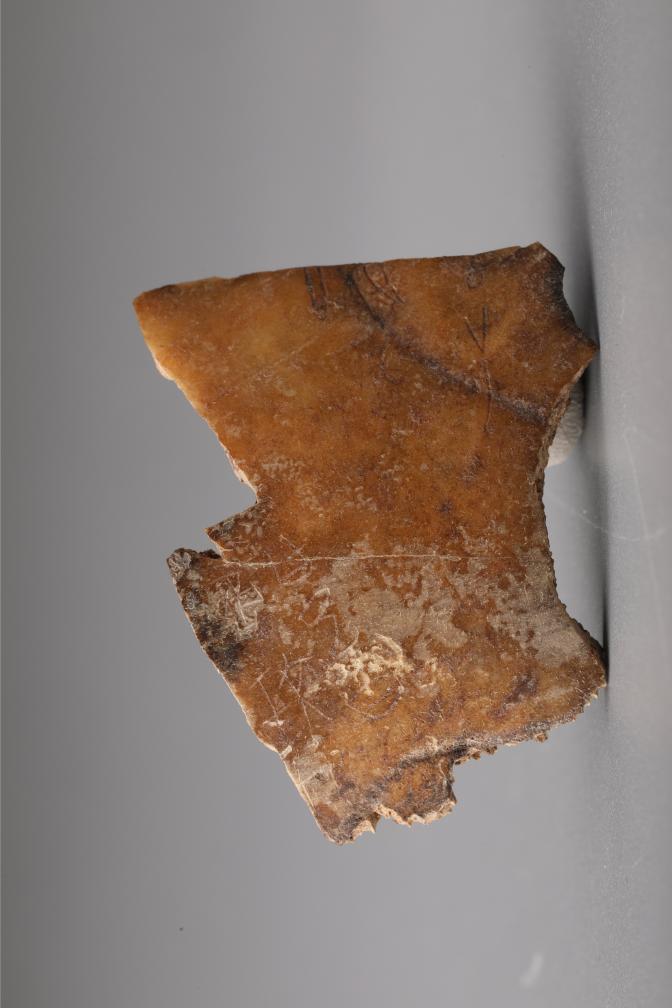 考古新發(fā)現(xiàn)佐證西岐在周原