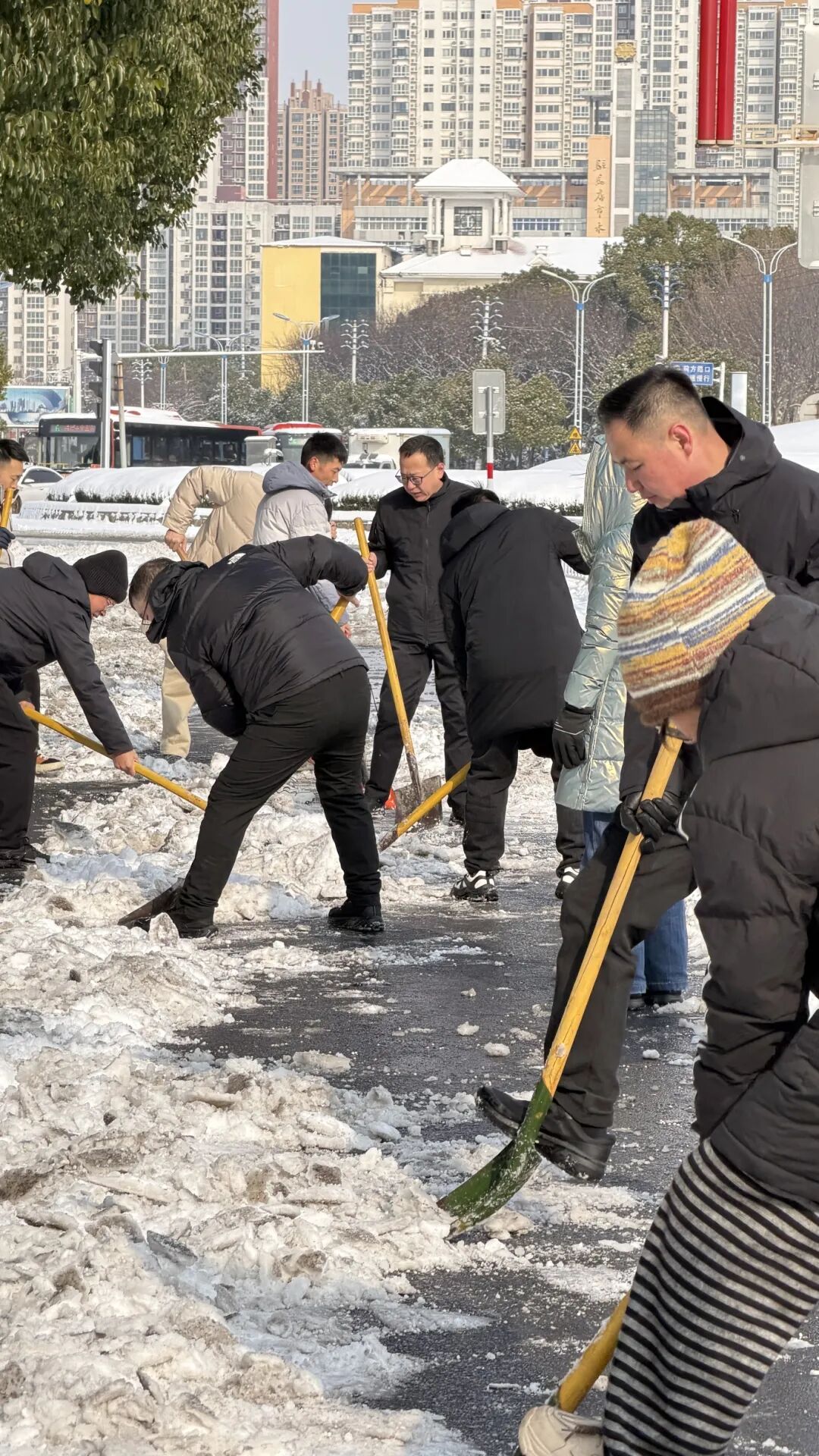 以雪為令，志愿先行！駐馬店市文化廣電和旅游系統(tǒng)全力開(kāi)展鏟冰除雪志愿服務(wù)