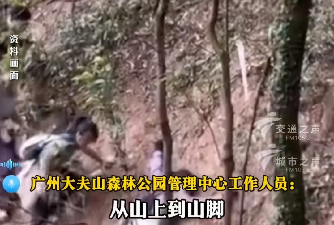 馬年“畫(huà)馬”路線被叫停后，官方再出手！