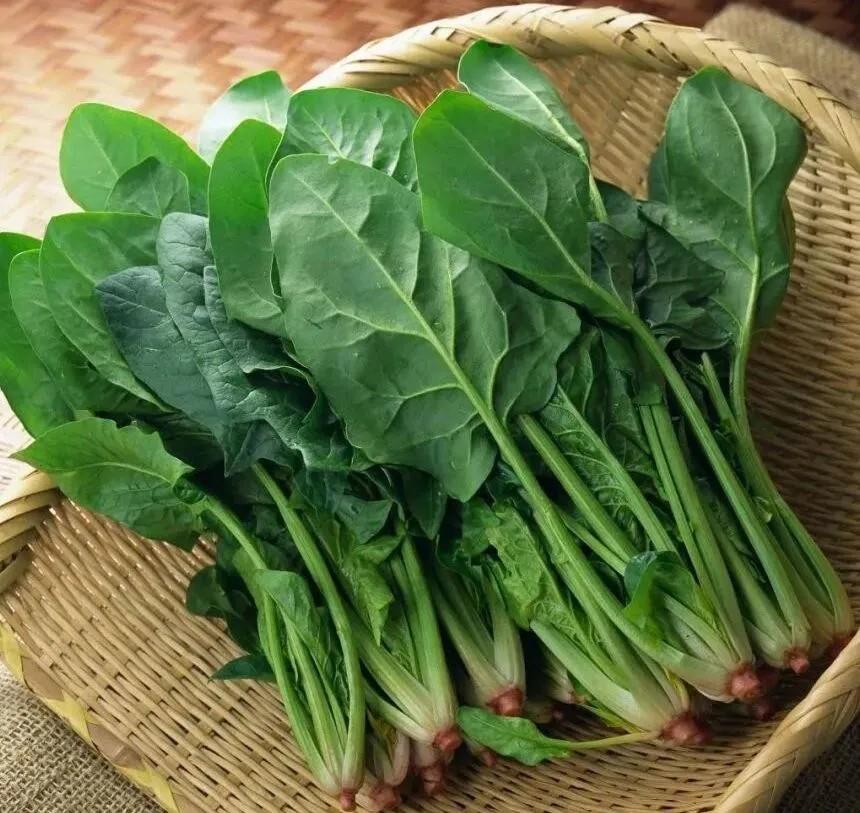 改善飲食習(xí)慣守護(hù)健康 癌癥最怕這3類食物