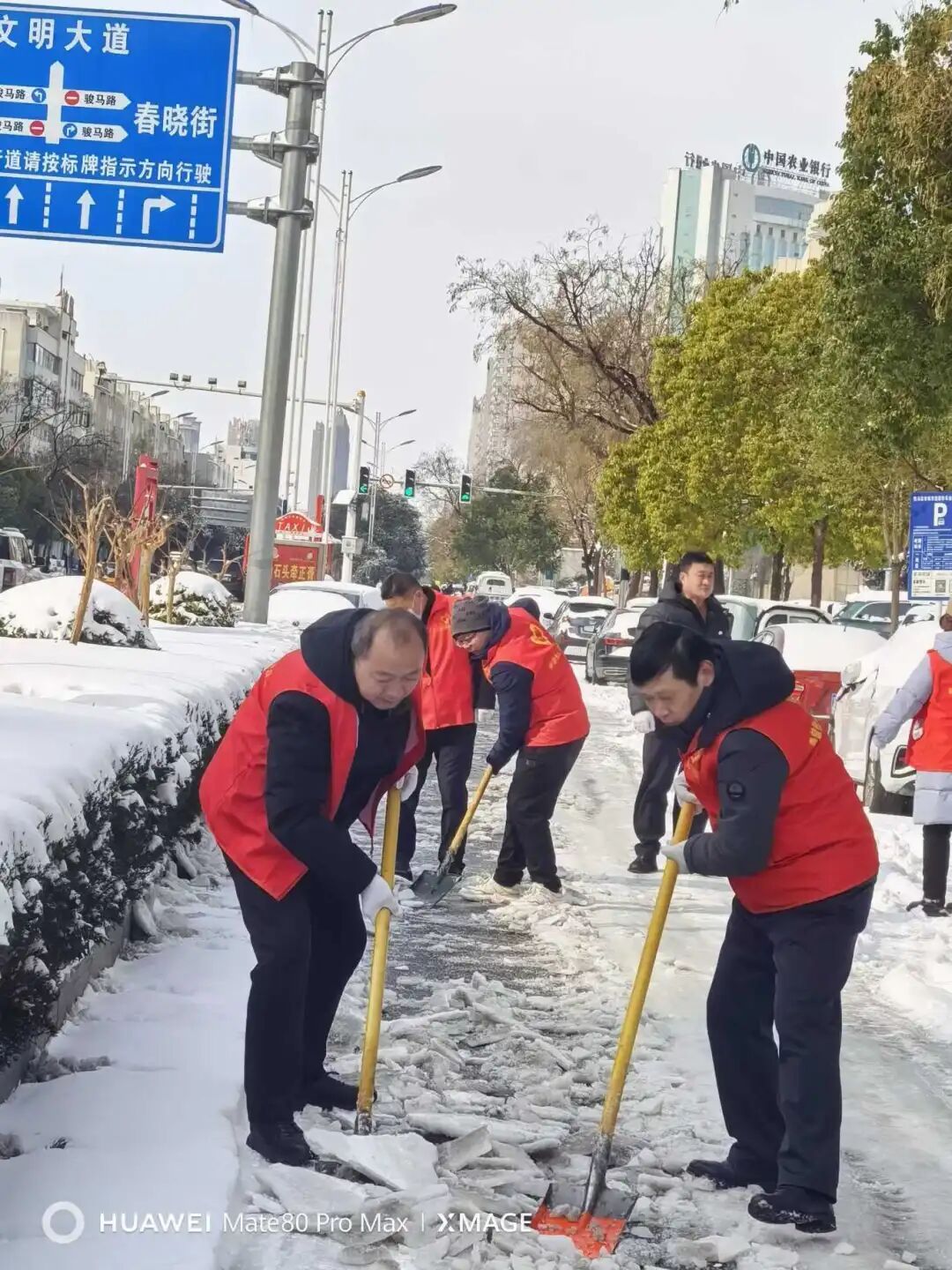 以雪為令，志愿先行！駐馬店市文化廣電和旅游系統(tǒng)全力開(kāi)展鏟冰除雪志愿服務(wù)