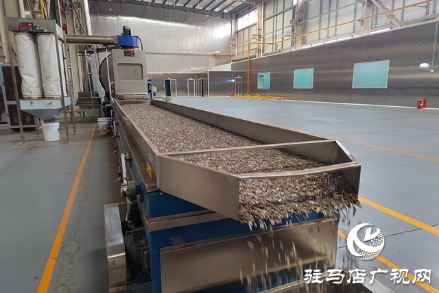 借力“農(nóng)加會” 沃陽食品跑出成長“加速度”