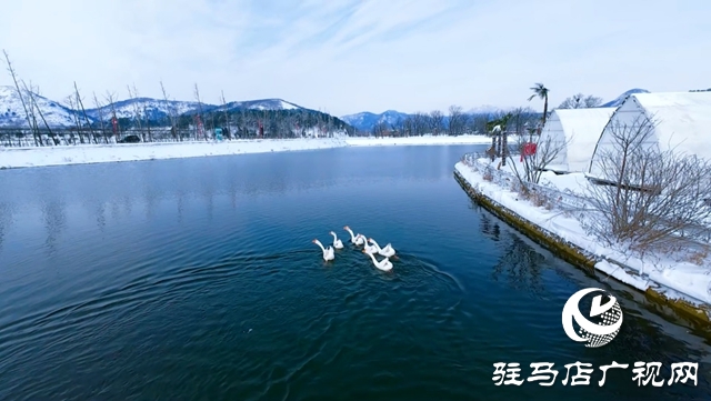 確山：山禾美溪民宿啟幕 民宿產(chǎn)業(yè)邁入5.0發(fā)展新階段