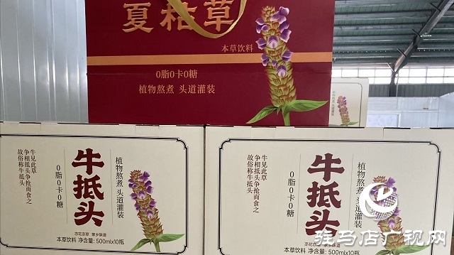 確山夏枯草&ldquo;鏈&rdquo;上發(fā)力 實現(xiàn)道地藥材到暢銷涼茶的產(chǎn)業(yè)躍升