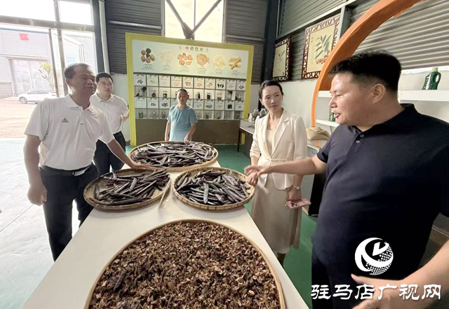 黃淮學(xué)院:科技特派員深耕田間 把論文寫在天中大地