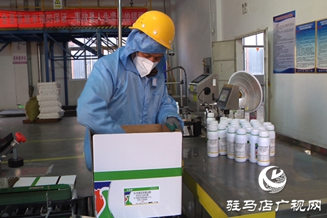 河南糧保作物:加班加點趕訂單 沖刺首季“開門紅”