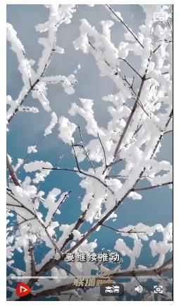 冰雪春天｜科技賦能 產(chǎn)業(yè)花開