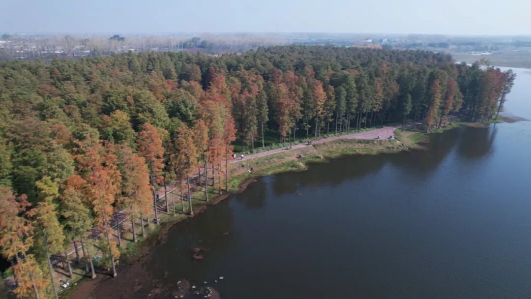 收藏！駐馬店縣區(qū)Citywalk寶藏線路（一）