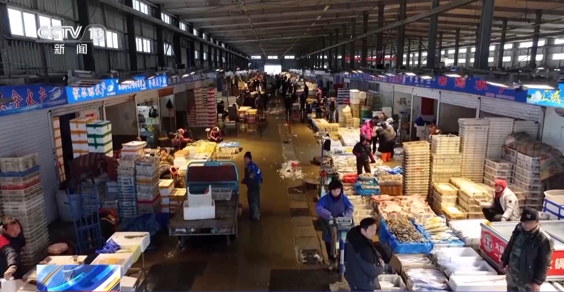 拍賣競價、設(shè)施煥新……冬日水產(chǎn)品搶“鮮”上市