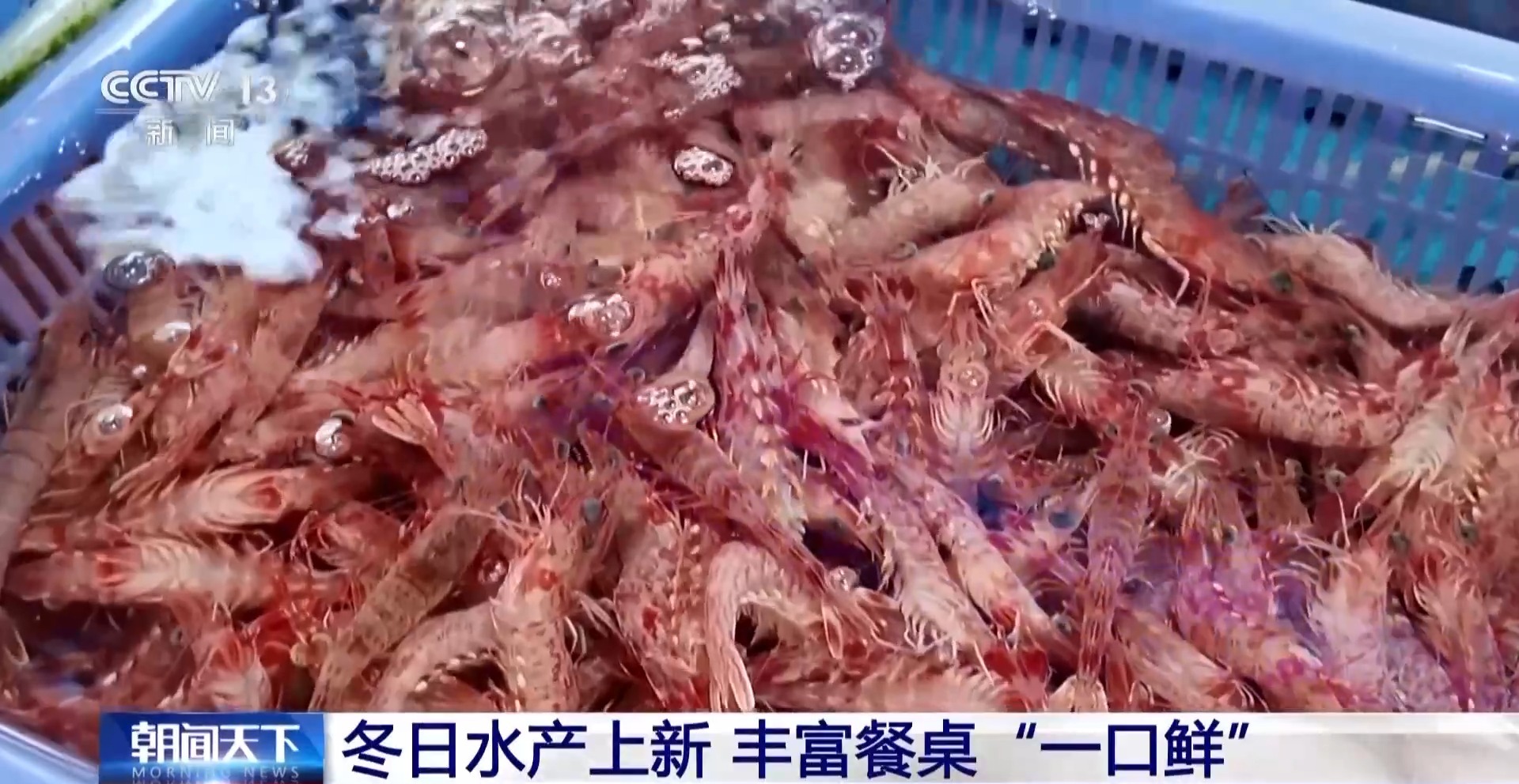 拍賣競價、設(shè)施煥新……冬日水產(chǎn)品搶“鮮”上市