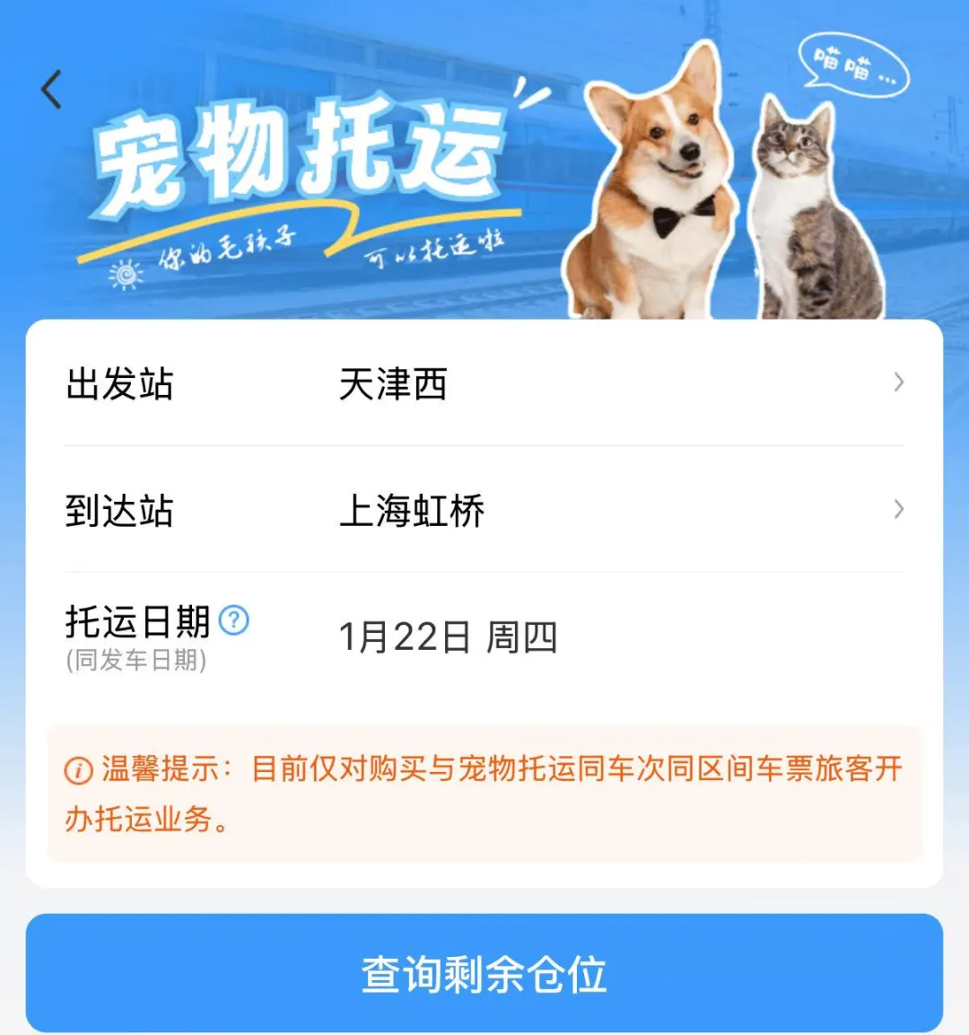 12306 購票頁上的“暗號”，你看懂了嗎？