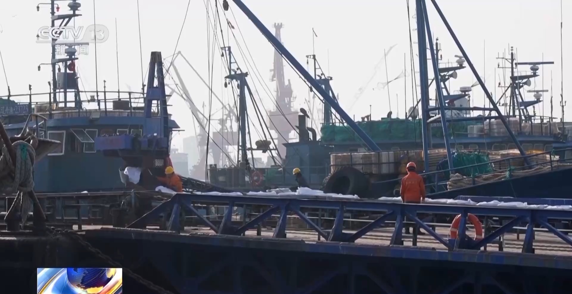 拍賣競價、設(shè)施煥新……冬日水產(chǎn)品搶“鮮”上市