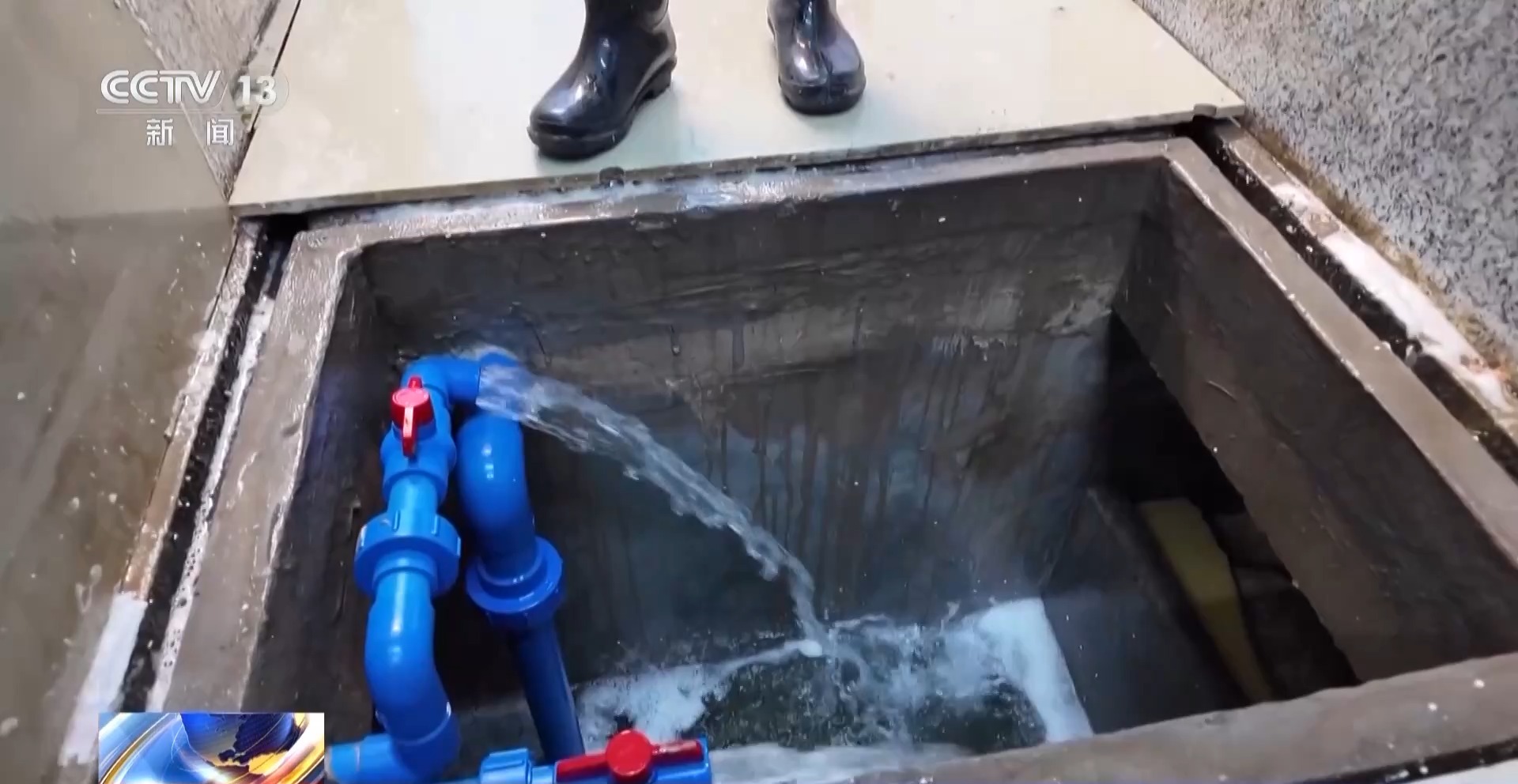 拍賣競價、設(shè)施煥新……冬日水產(chǎn)品搶“鮮”上市